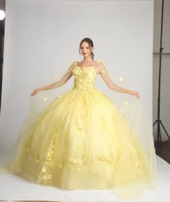 Fiesta 10286 Stunning Lace & Floral Embroidered Ball Gown