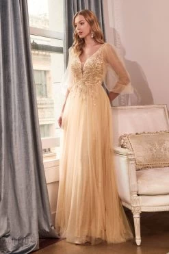 Long Flowing Gown With Shimmering Net #CDCD0182
