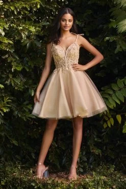 Cinderella Divine CD0188 Short Shimmering Lace Embroidered Dress 7 Cinderella Divine CD0188 Short Shimmering Lace Embroidered Dress -Norma Reed CD0188 champagne 1be393f0 9f2c 4798 a062 4bc9d87bf31b