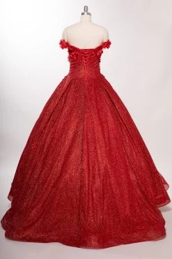 Aspeed L2501 Off Shoulder Floral Quinceanera Dress -Norma Reed L2501REDB2 ab406b5f 4b16 44a7 862c 8f01ad347352